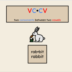 Orton-Gillingham Virtual Phonics Lesson: VC•CV Twin Middles